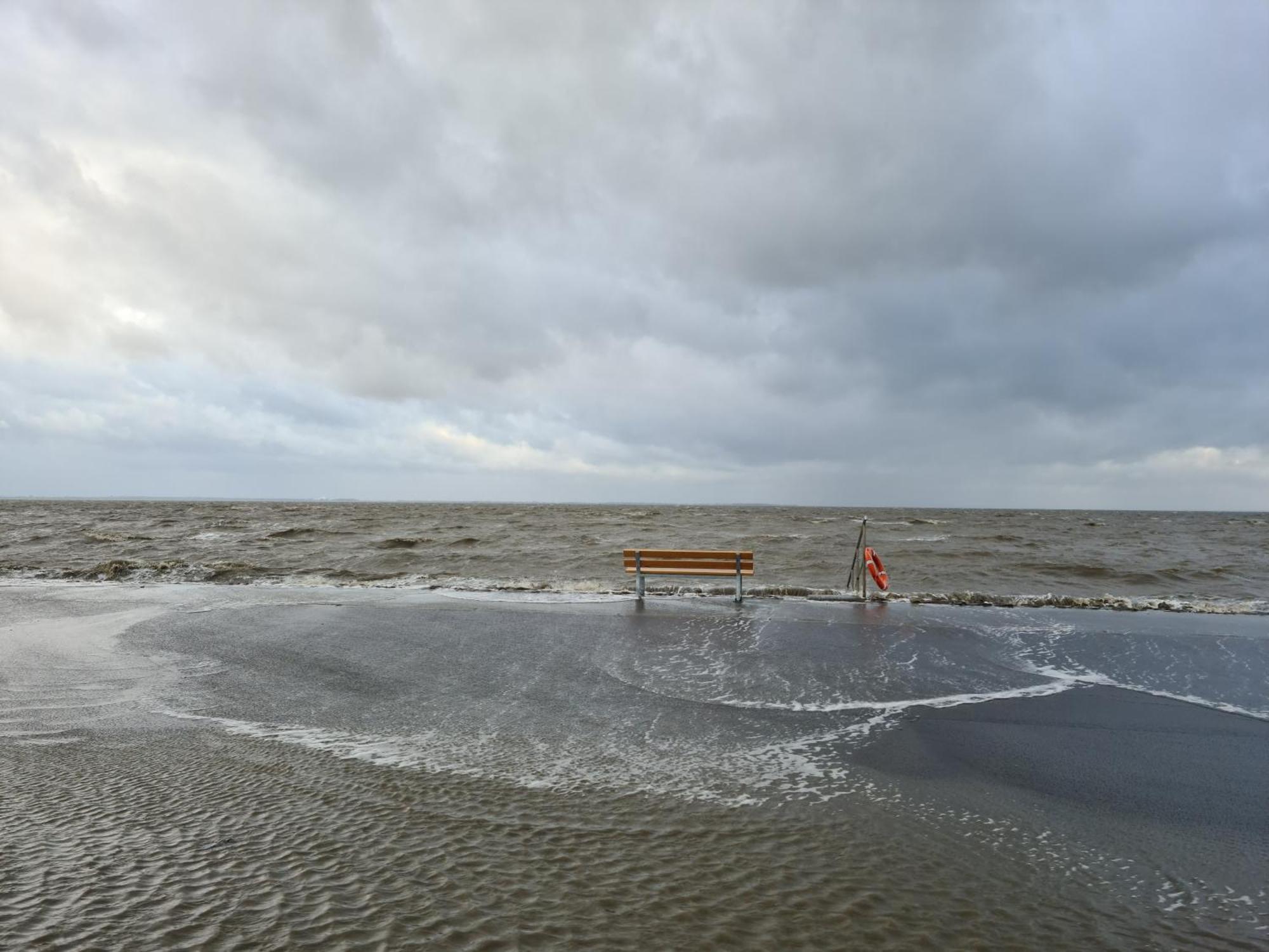 Haus Pudelwohl - Hundefreundliches Ferienhaus An Der Nordseekueste Sehestedt  Bagian luar foto