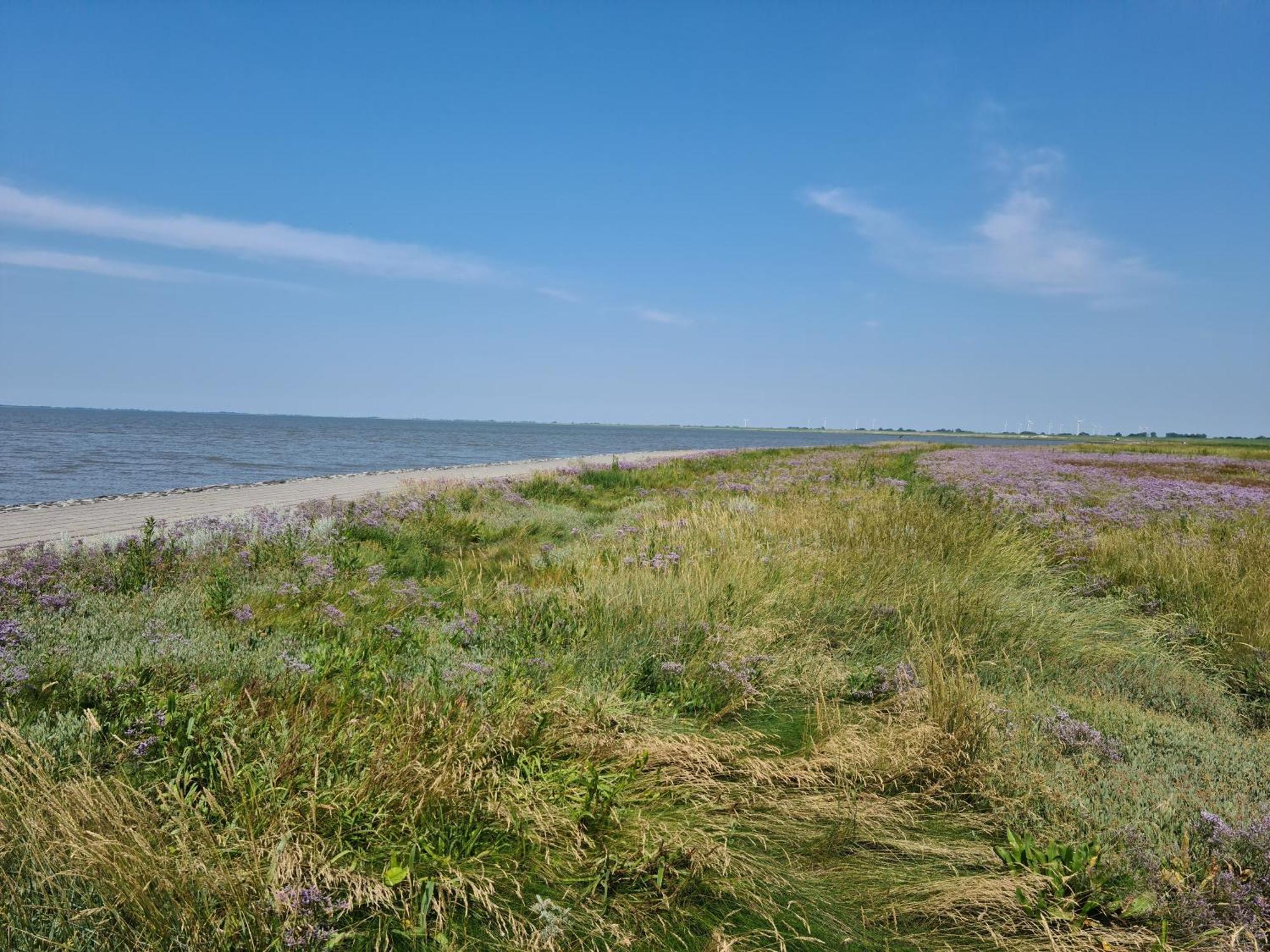Haus Pudelwohl - Hundefreundliches Ferienhaus An Der Nordseekueste Sehestedt  Bagian luar foto